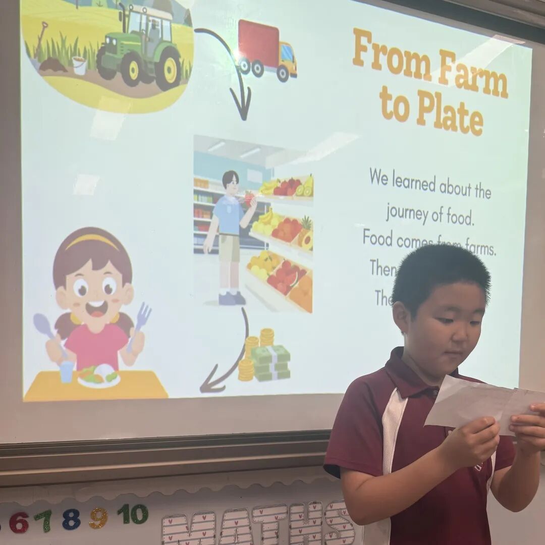 从世界奇迹到3D洞穴,小学部探究结题展精彩纷呈 | Prep Inquiry Communication Events